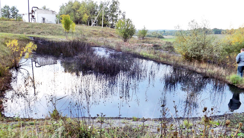 Лозова